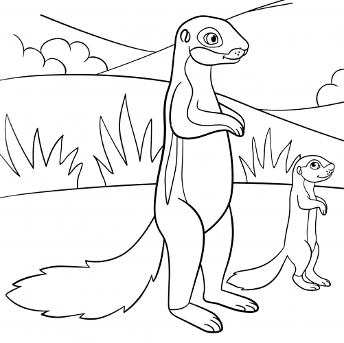 Funny meerkats coloring page