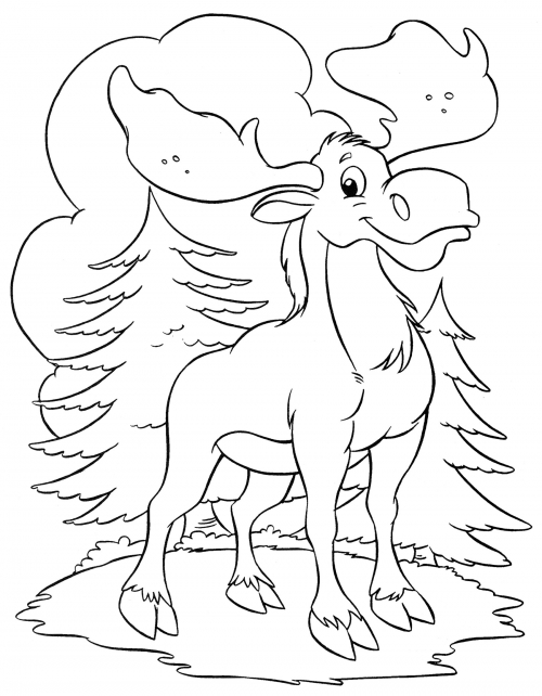 Beautiful moose coloring page