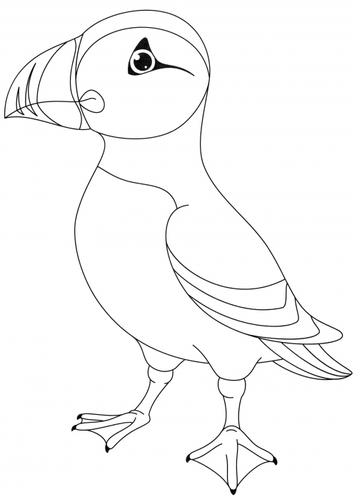 Funny puffin coloring page