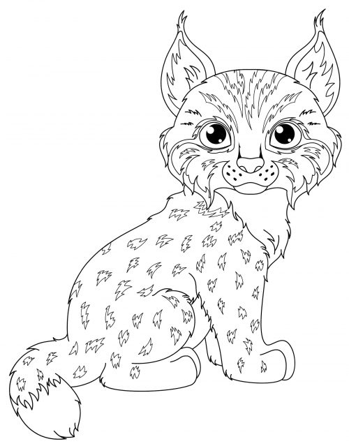 Fairy tale lynx coloring page