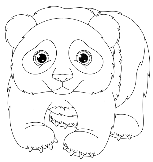 Cute little panda coloring page