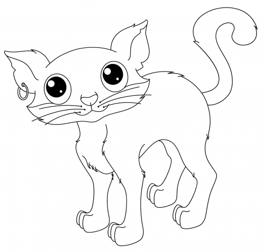 Pirate kitten coloring page