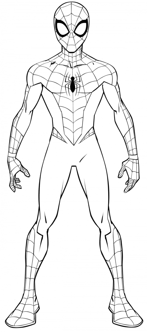 Spider-Man in full size coloring page