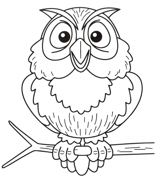 An owl on a branch coloring page