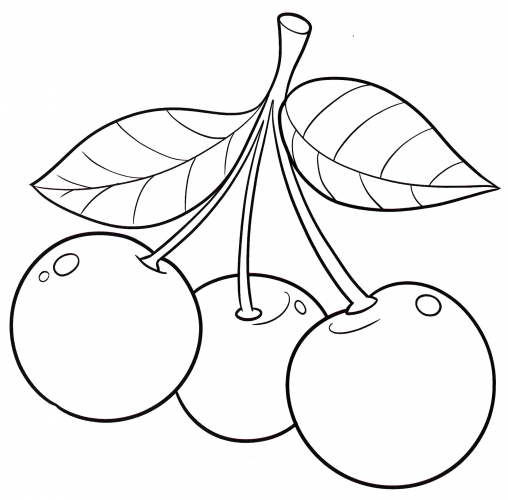 Cherry sprig coloring page