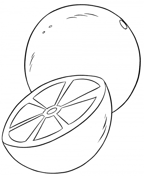 Orange in a slice coloring page