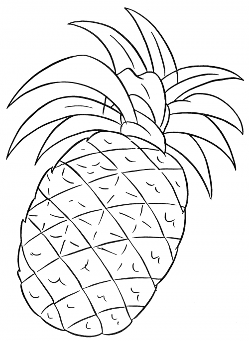 Ripe pineapple coloring page
