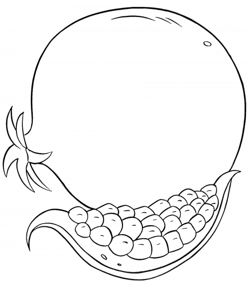 Red pomegranate coloring page