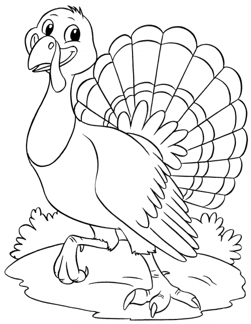 Beautiful turkey coloring page