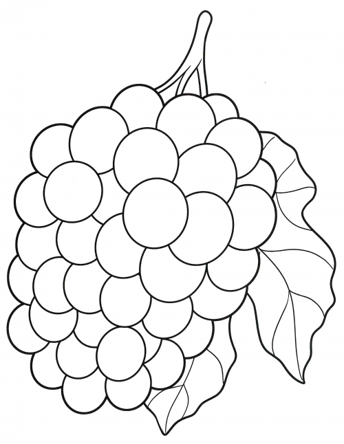 Grape sprig coloring page