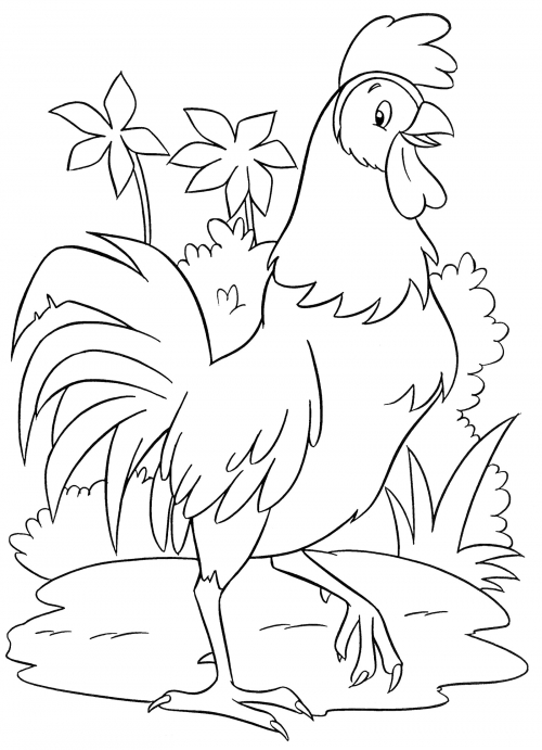 Beautiful rooster coloring page