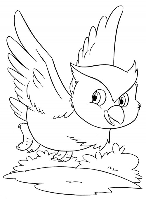 Owl in flight coloring page