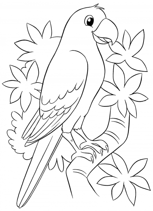 Green parrot coloring page