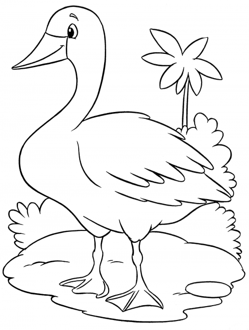 White duck coloring page