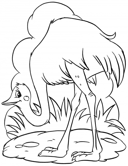 Ostrich on a walk coloring page