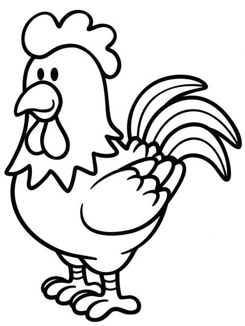 Nice rooster coloring page