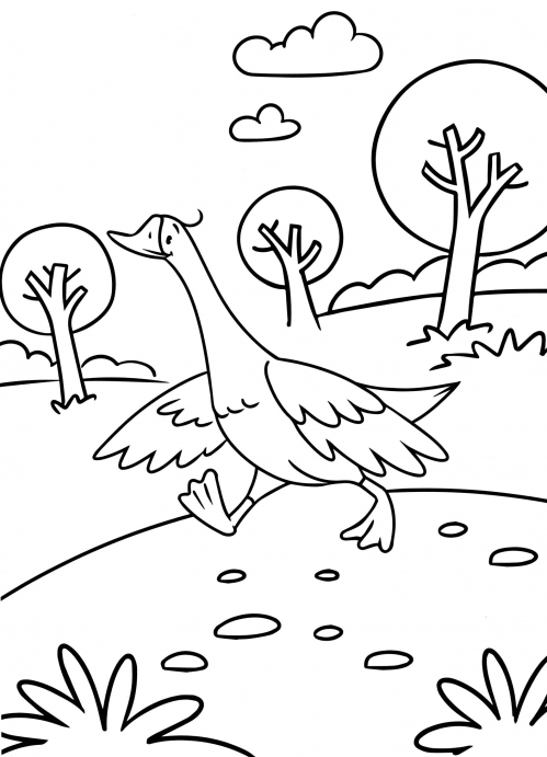 Goose on a walk coloring page