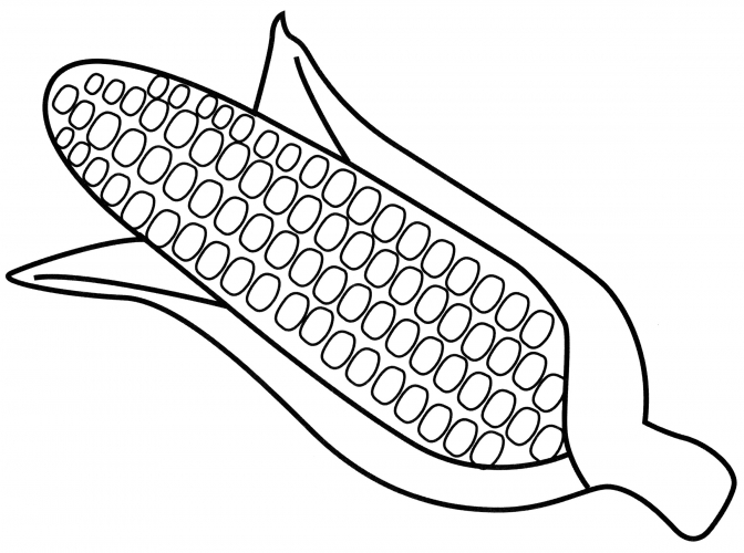 Ripe corn coloring page