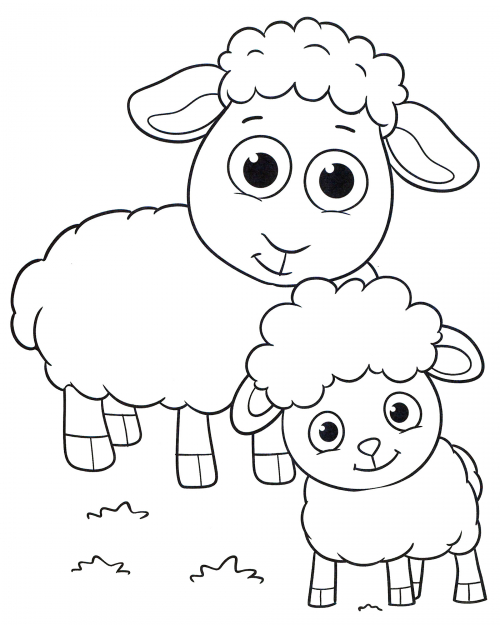 Cute lambs coloring page