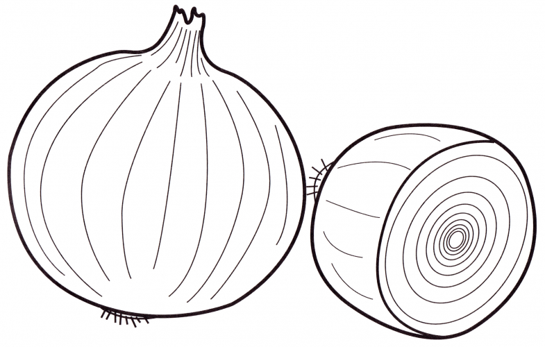 Beautiful onion coloring page