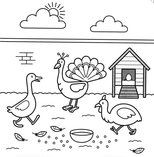 Farm birds coloring page