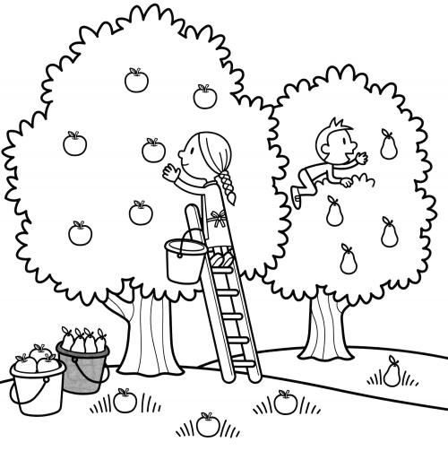 Picking apples and pears at the farm coloring page