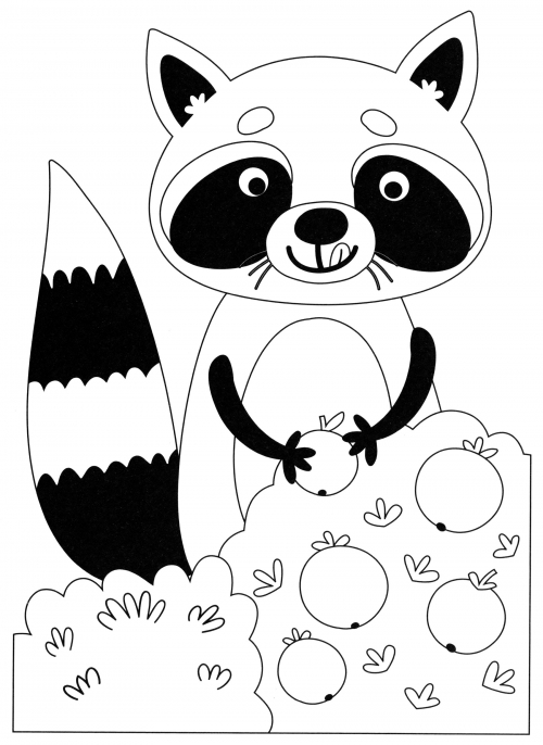 Raccoon eating berries coloring page