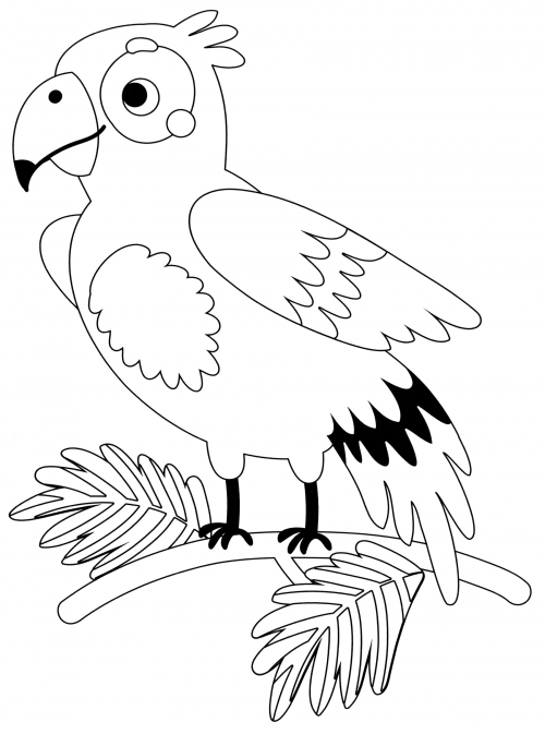 Beautiful parrot coloring page