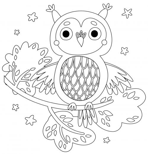 Owl in a tree coloring page