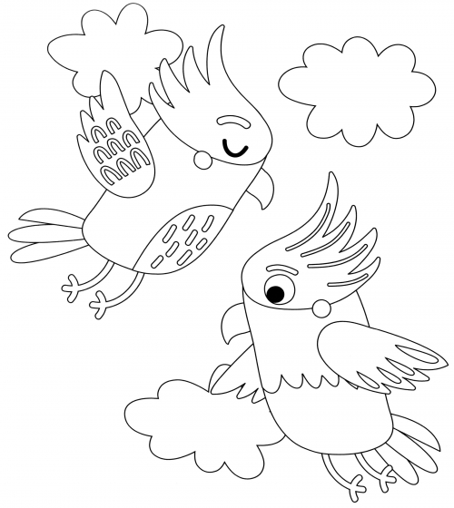 Two parrots fly coloring page