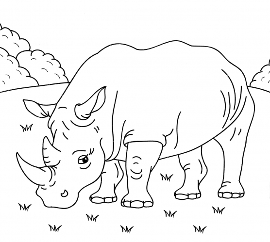 Beautiful rhinoceros coloring page