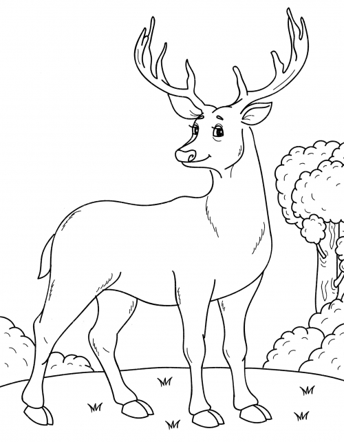 Beautiful deer coloring page