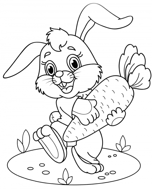 Bunny holding a carrot coloring page