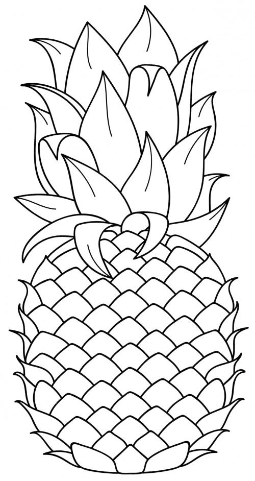 Large juicy pineapple coloring page