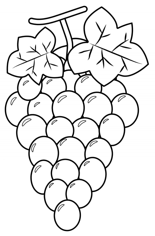 Beautiful grapes coloring page