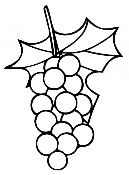 The bunch of grapes coloring page