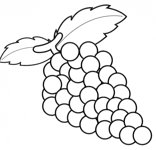 Grapes with leaves coloring page