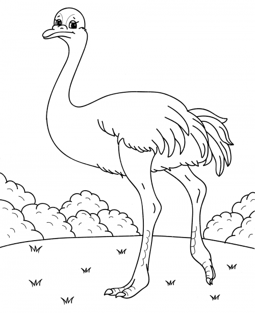 Ostrich in a clearing coloring page