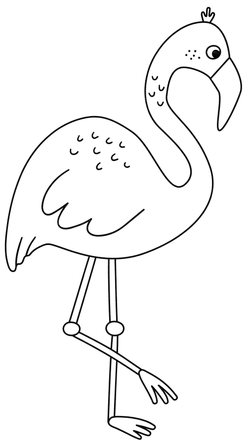 Flamingo on one leg coloring page