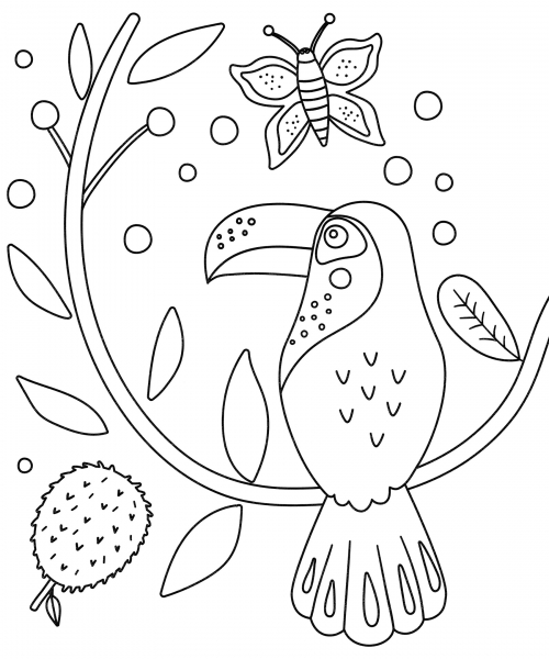 Toucan on a branch coloring page