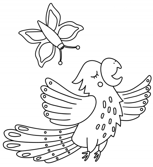 Parrot sings coloring page