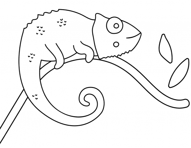 Little chameleon coloring page