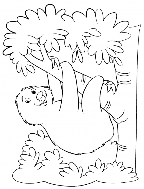 Cute sloth coloring page