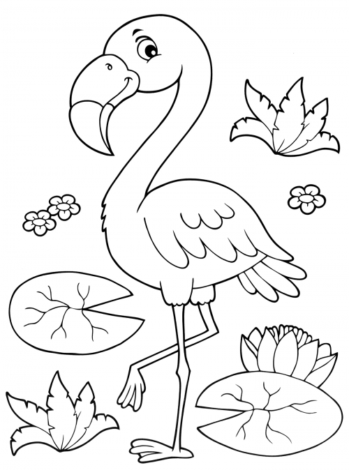 Beautiful flamingo coloring page