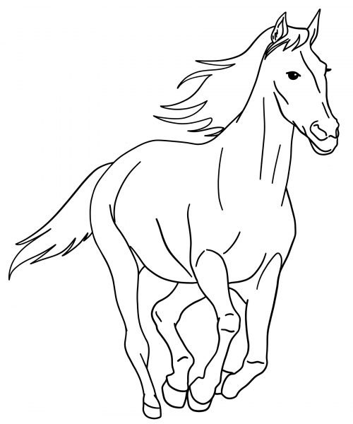 Graceful horse coloring page
