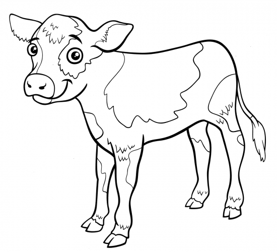 Little calf coloring page