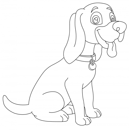 Dog with collar coloring page