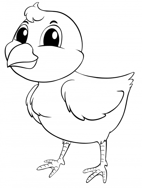 Cute chicken coloring page