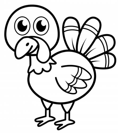 Baby turkey coloring page