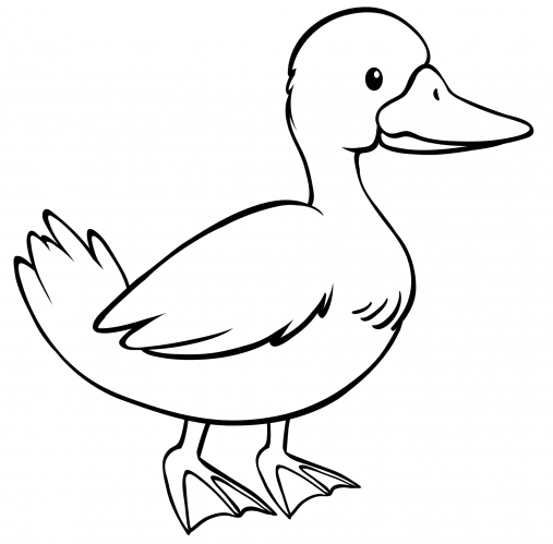 Beautiful duck coloring page